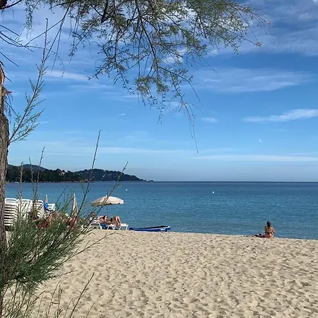Les Terrasses De Lo Panzió *